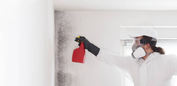 Best Professional Mold Removal  in Paris, KY