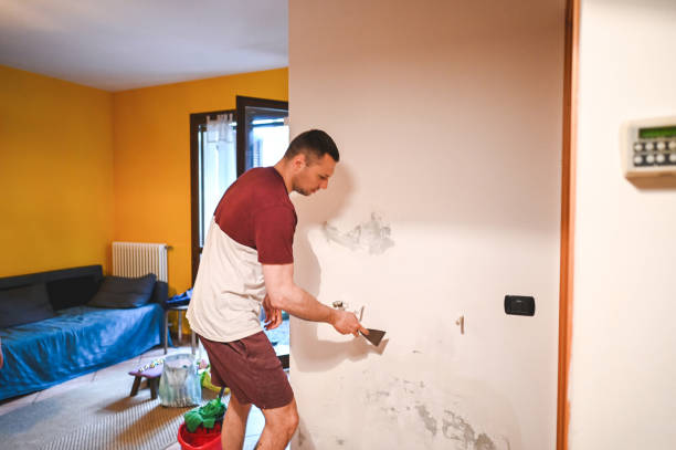 Best Emergency Mold Removal  in Paris, KY